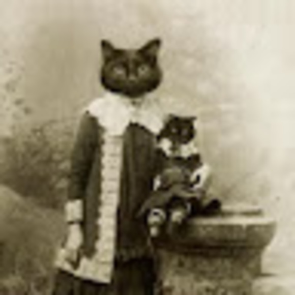 Meet your Posher, Lizbeth - Picture 1 of 1